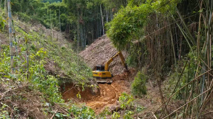 林間“藏龍”，竹?！芭P虎”——徐工林業(yè)挖機(jī)廣西俠客行